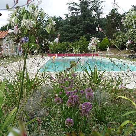 Villa Entiere Du Chateau Lacroix De Civrac 3 Ch, 3 Sdb, Piscine Xxl,Sauna, 4 Etoiles,7 Pers Ngoại thất bức ảnh
